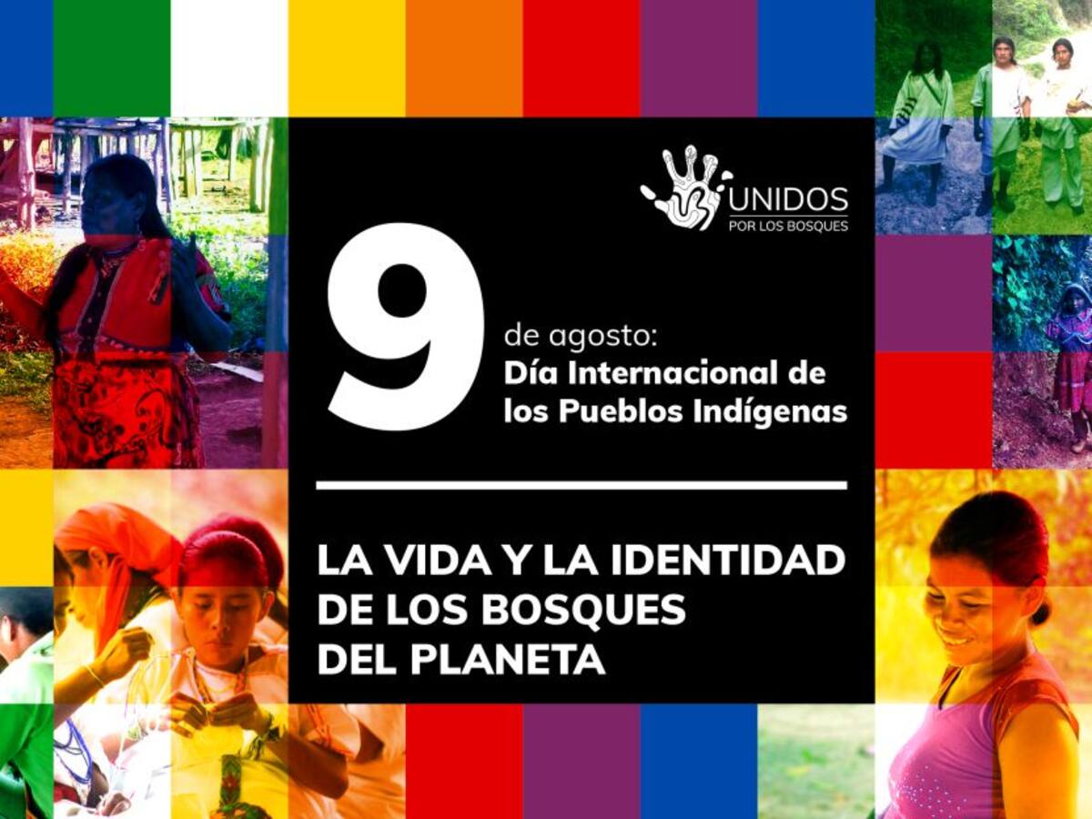 Un día para reconocer a los principales protectores de los bosques