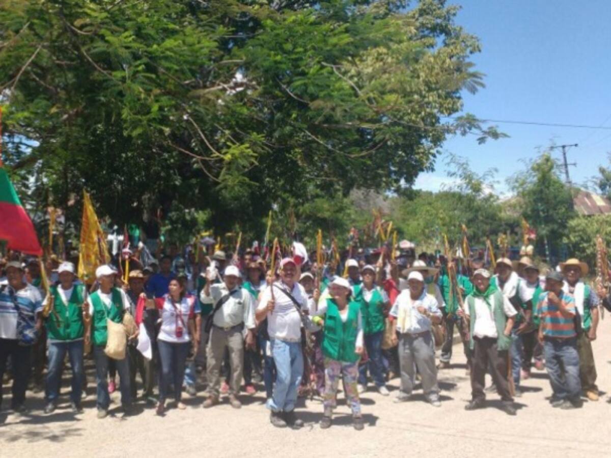 Gobierno pide a ONU investigar crimen de líder indígena