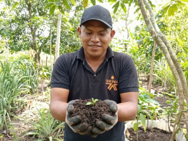 Este proyecto de investigación, acción y participación (IAP) integra ciencia y tecnología, saber ancestral y participación comunitaria para la transformación de sistemas productivos. Foto: SENA.