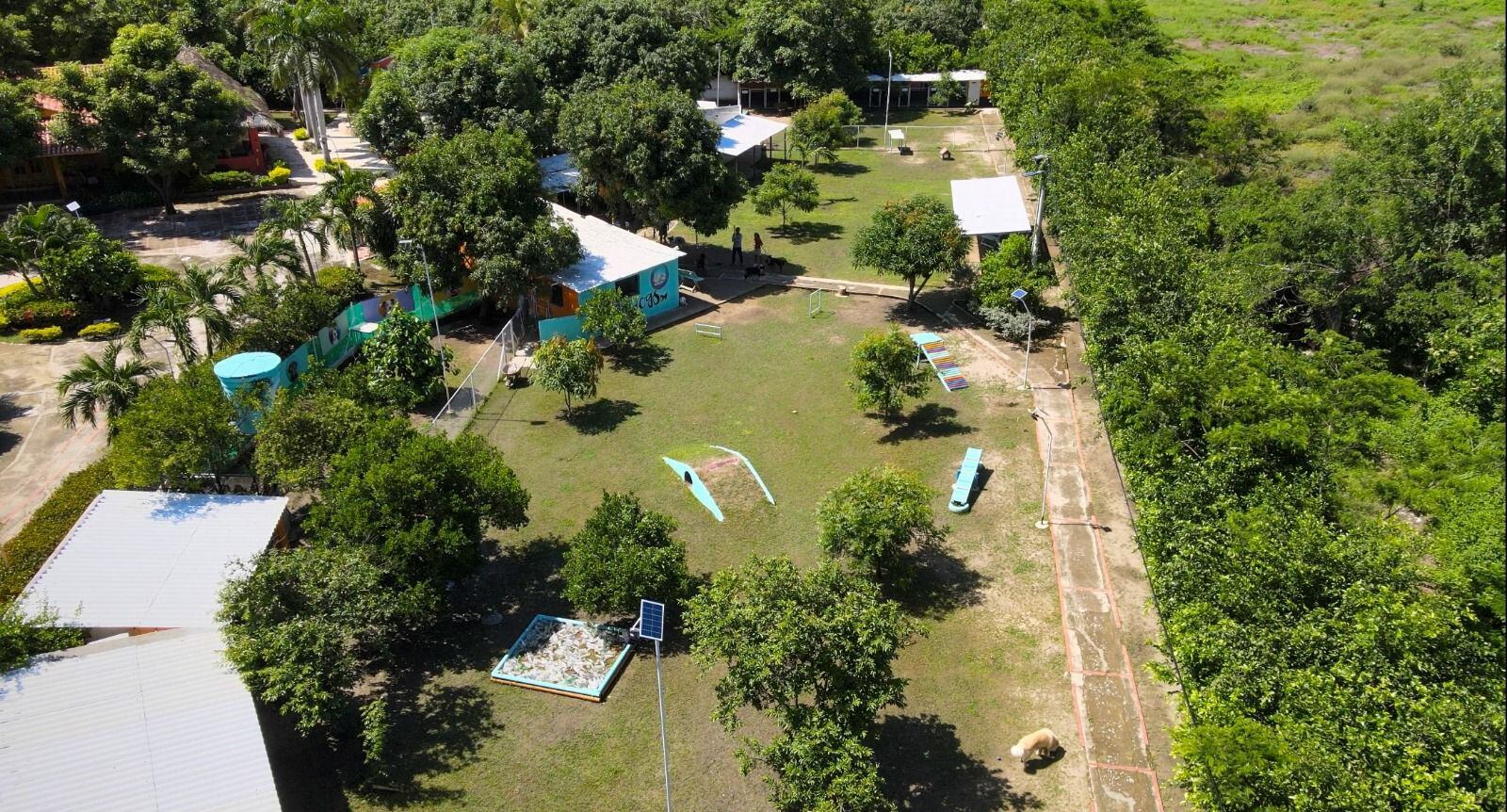 Divertidogs, una alternativa para posicionar a Santa Marta como destino pet-friendly