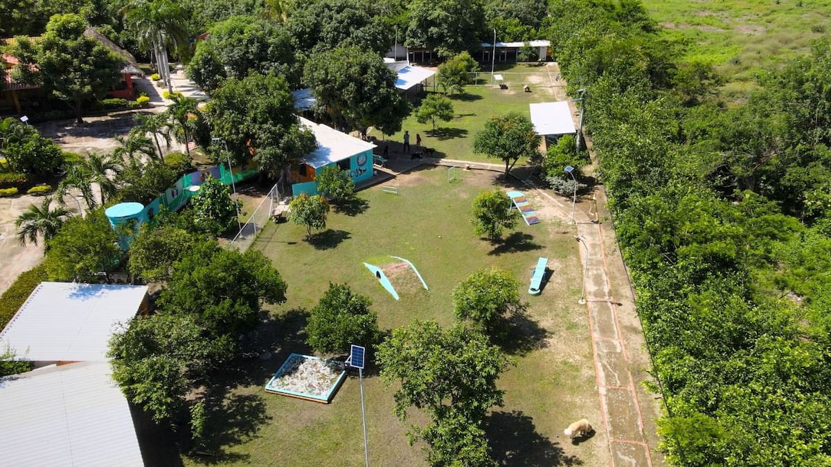 Hoteleros de Santa Marta se capacitan y preparan para posicionar el Turismo Pet-friendly