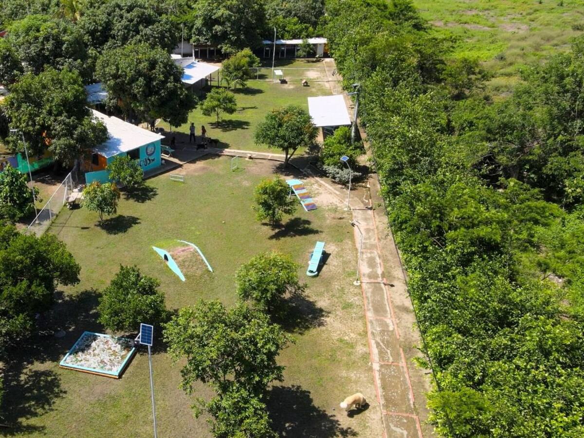 Hoteleros de Santa Marta se capacitan y preparan para posicionar el Turismo Pet-friendly