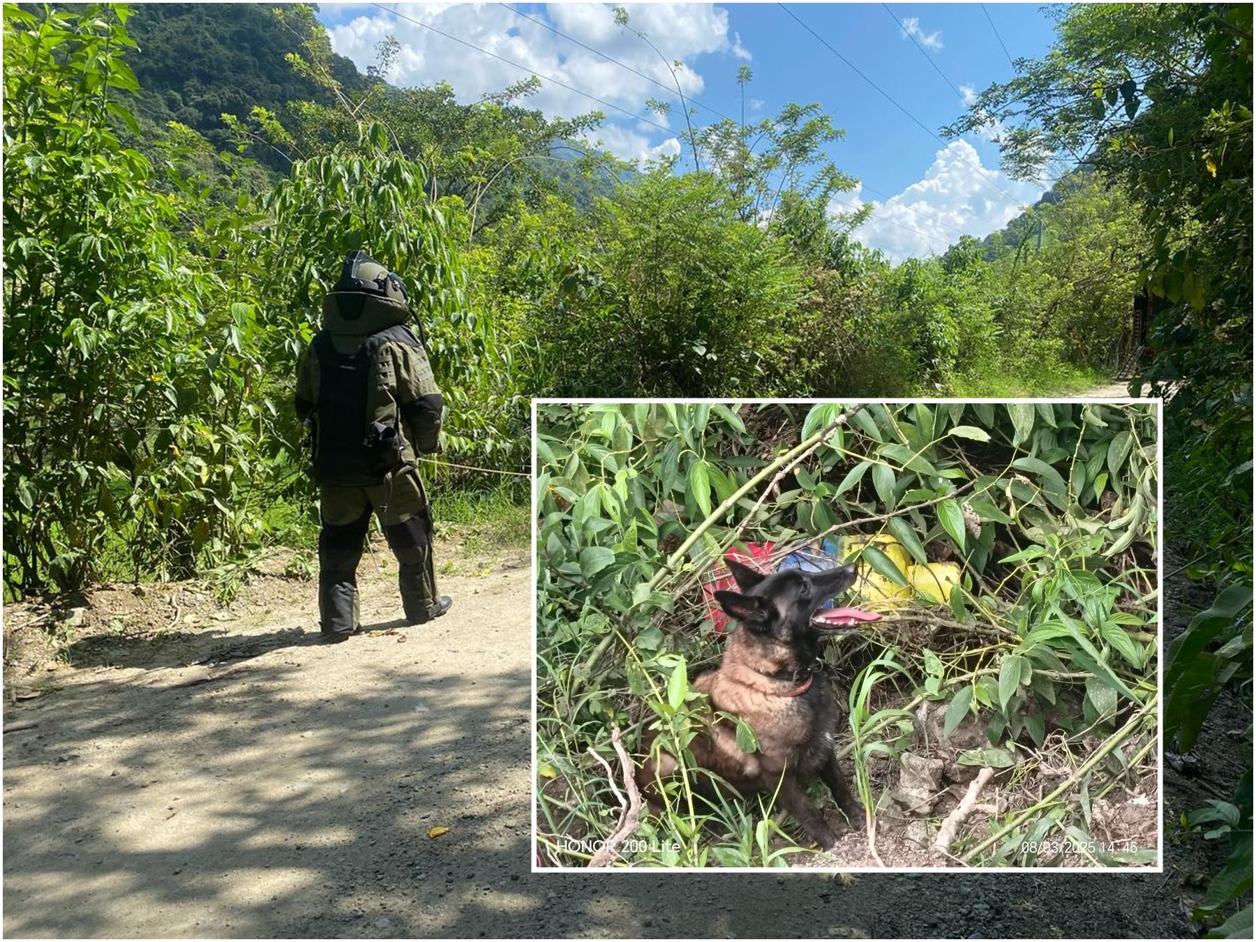 Cilindro con explosivos en el sur del Tolima