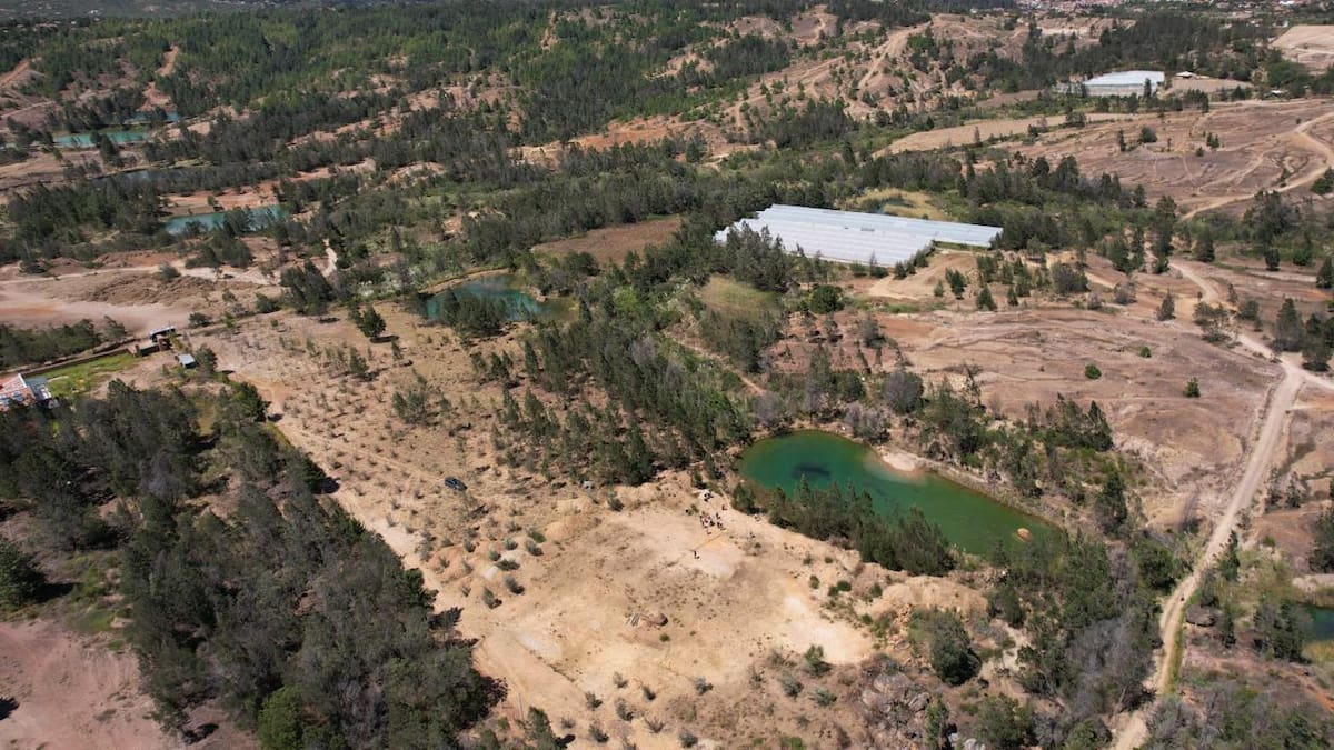 Gobierno confirma el inicio del fenómeno de El Niño: ¿qué impactos se esperan en Colombia?
