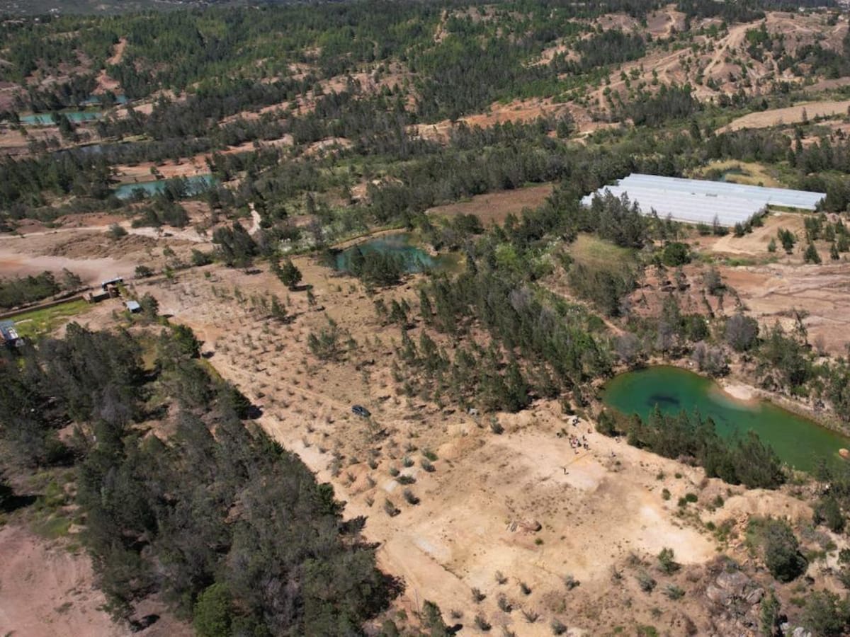 Gobierno confirma el inicio del fenómeno de El Niño: ¿qué impactos se esperan en Colombia?