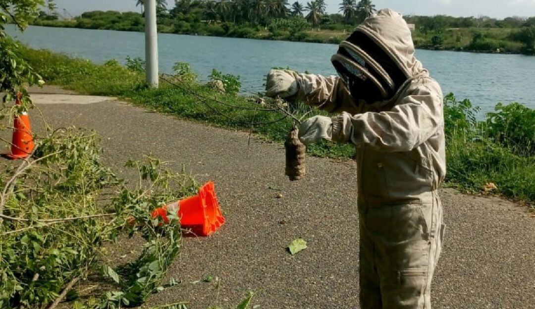 Uno de los compromisos de la compañía es el cuidado a través del adecuado manejo de la fauna y flora de cada territorio.