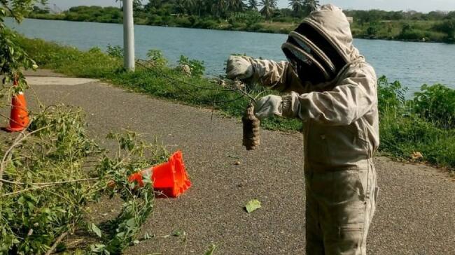 Uno de los compromisos de la compañía es el cuidado a través del adecuado manejo de la fauna y flora de cada territorio.
