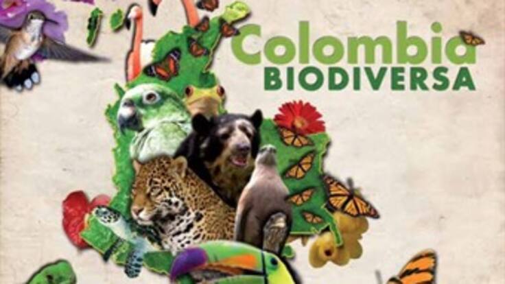 Fundación Natura se pronuncia frente a decadencia de Colombia en temas ambientales.