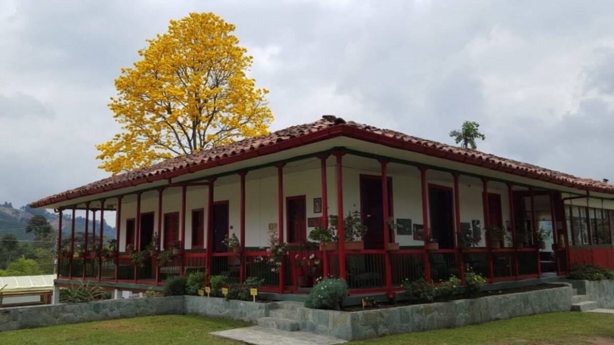 Viernes 4 de Febrero, las principales noticias de Armenia y Quindío