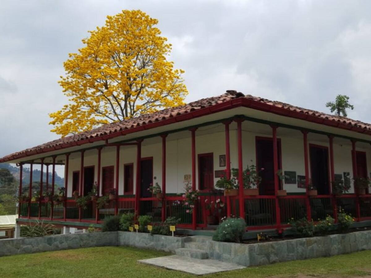 Viernes 4 de Febrero, las principales noticias de Armenia y Quindío