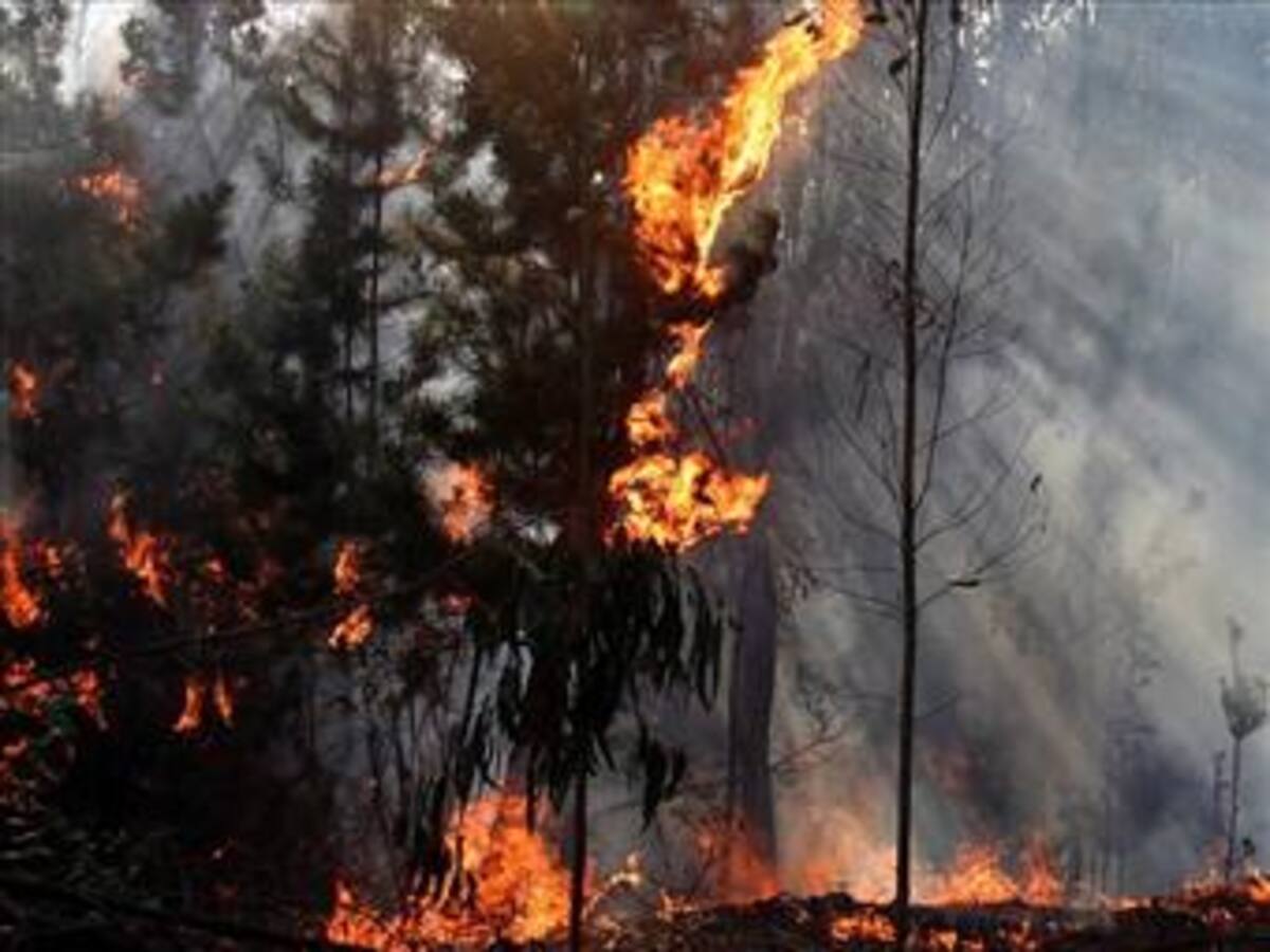 En 7 departamentos hay alerta roja por posibles incendios: Ideam