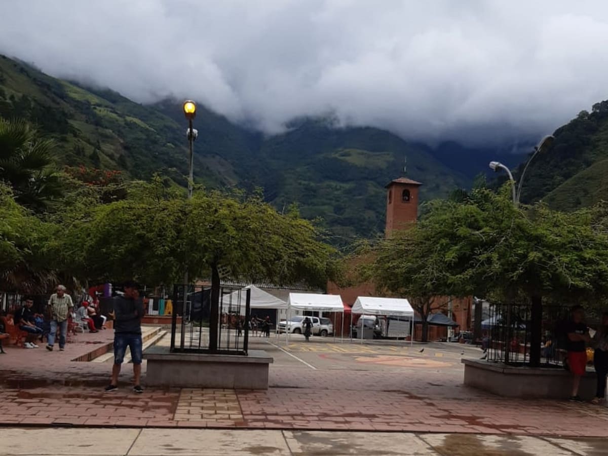 Asesinan a un campesino en medio de combates en Argelia, Cauca