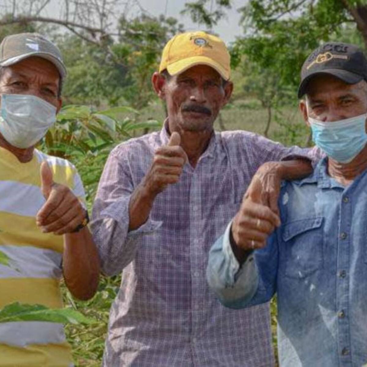 Productores aumentarán la calidad y comercialización de sus alimentos