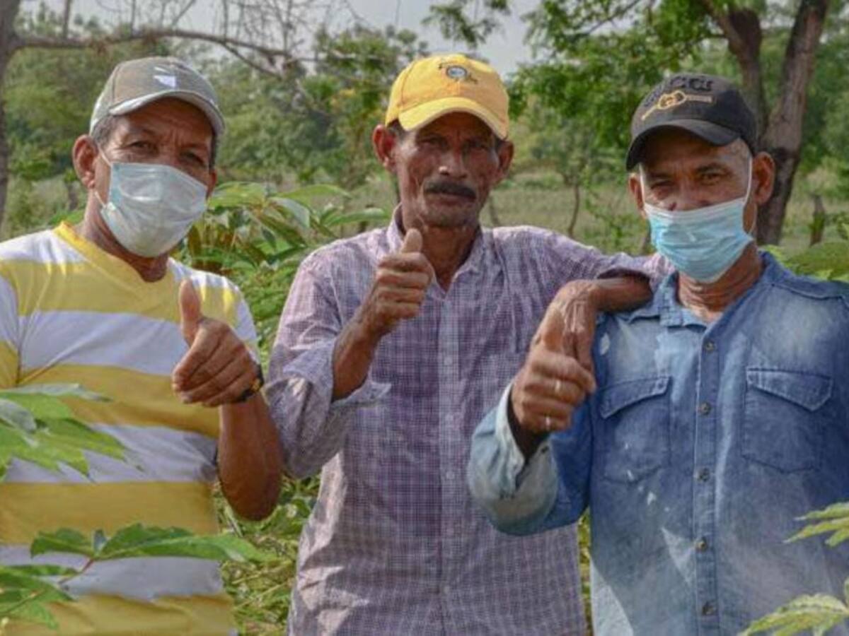 Productores aumentarán la calidad y comercialización de sus alimentos