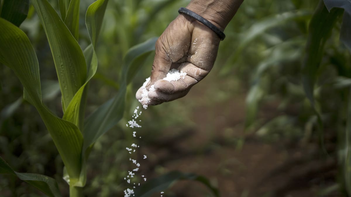Fertilizantes y suplementos pecuarios impulsan alza de insumos en abril
