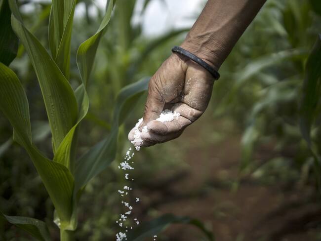 Alivios en compras de insumos para bajar precios de alimentos, impulsa el Gobierno