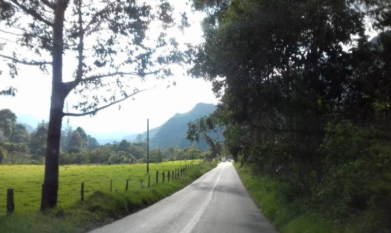 Vía al Valle de Cocora en Salento, Quindío