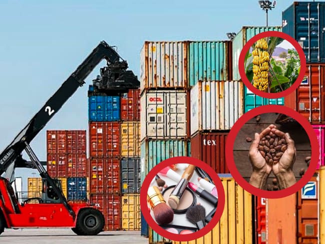 Colombia supera los US$10 mil millones en exportación de bienes no mineros en 2024