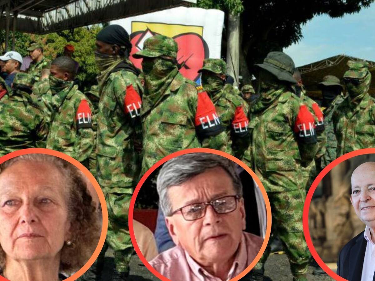 Frente Comuneros del Sur: ¿Qué solución plantean las delegaciones del Gobierno y del ELN?