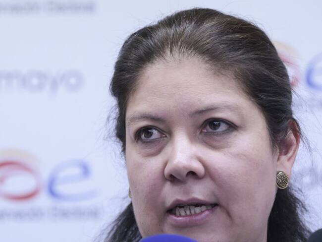 Mandatarios deben tener estrategias contra violencia a líderes: MOE