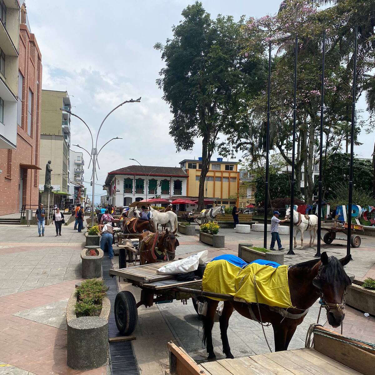 Alcalde de Calarcá nos está mamando gallo: Edilberto Hernández, carretillero