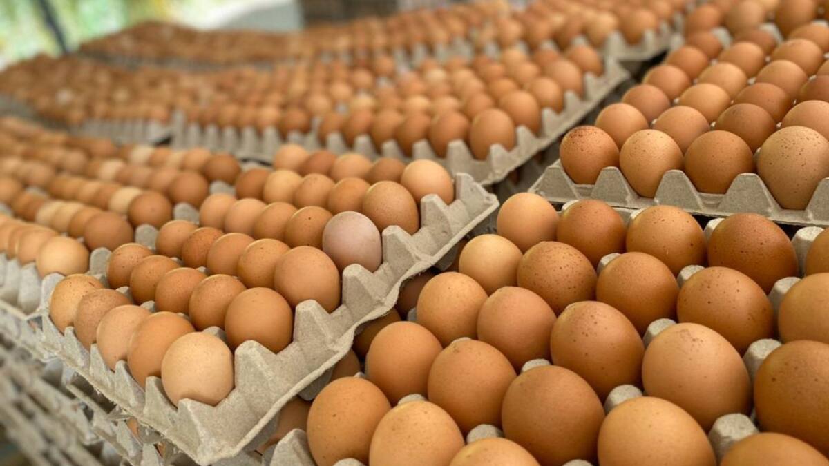 ¿Más huevo y menos pollo se consumen en la cuarentena?