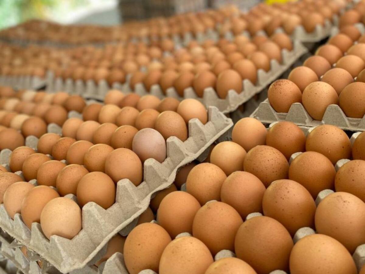 ¿Más huevo y menos pollo se consumen en la cuarentena?