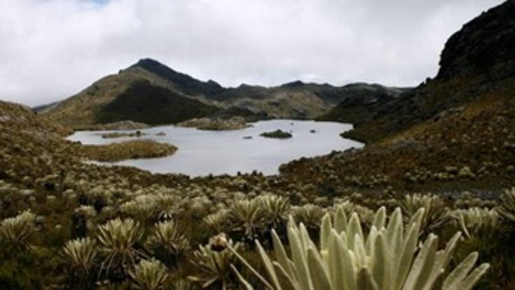 Contraloría advierte que hay “debilidad institucional” en la entrega de licencias ambientales
