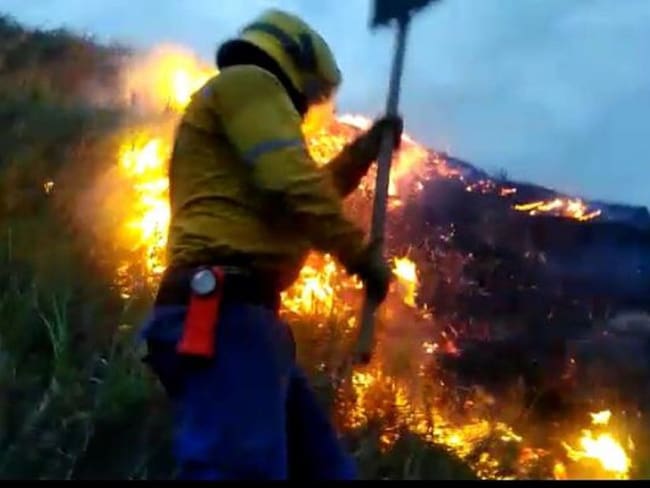 Por incendios forestales, recompensas para denunciar pirómanos en el Valle