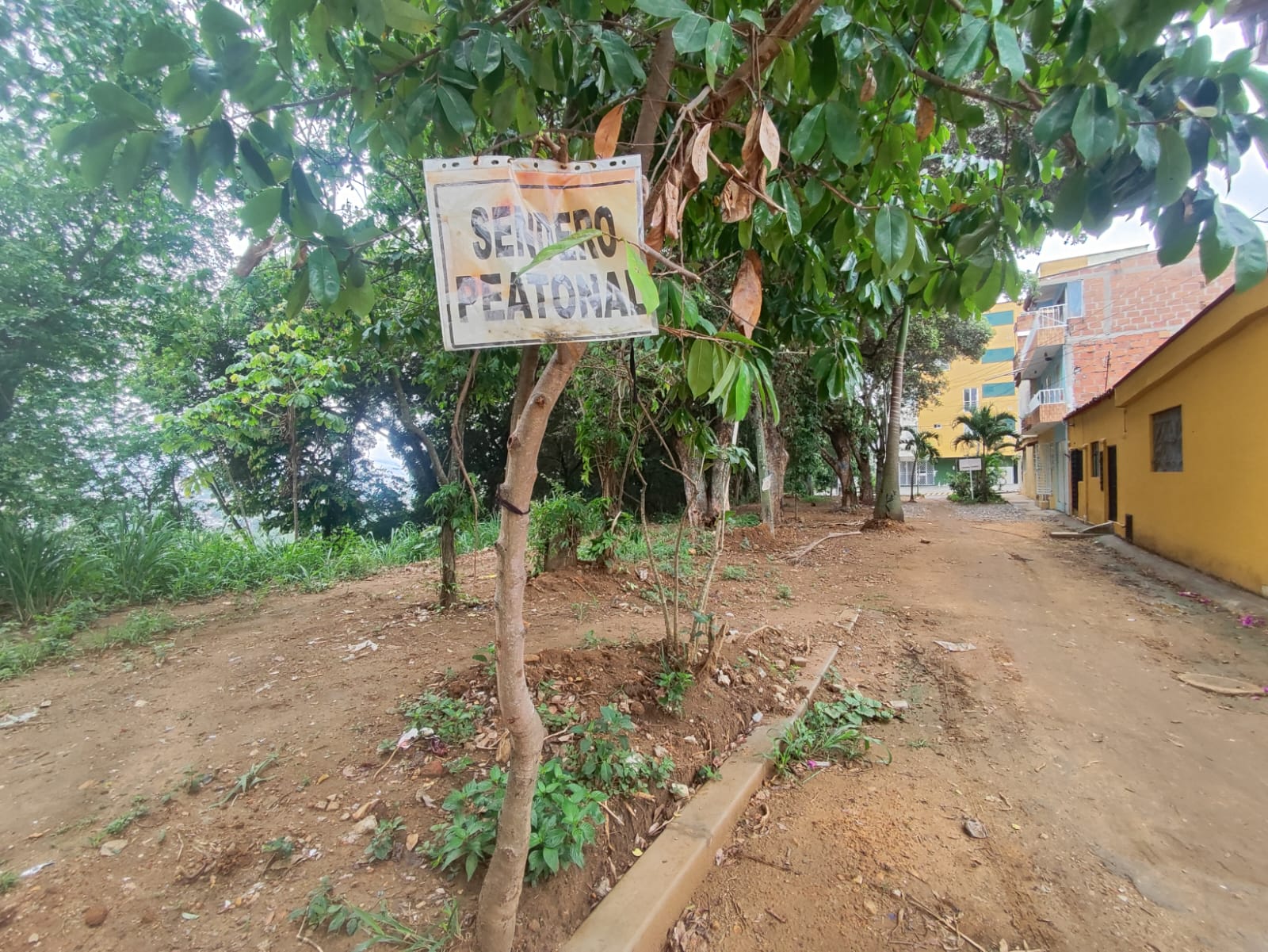 Millonario contrato para remodelar un sendero en Bucaramanga quedó 'en veremos'.