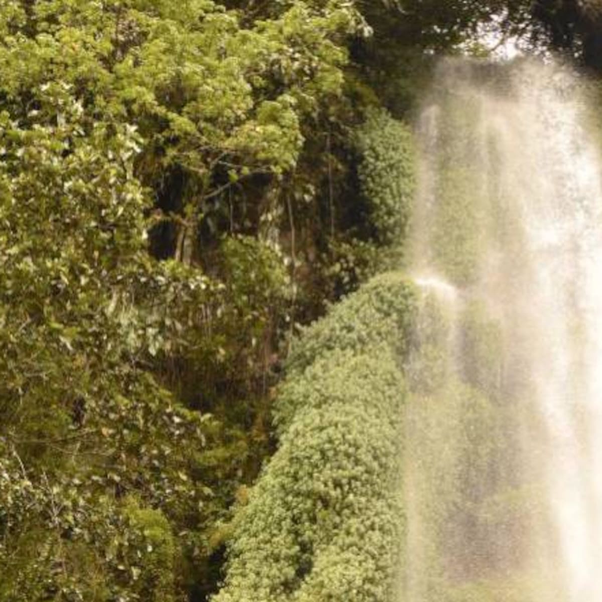 Los planes que usted no sabe que puede hacer para 'turistear' en Risaralda
