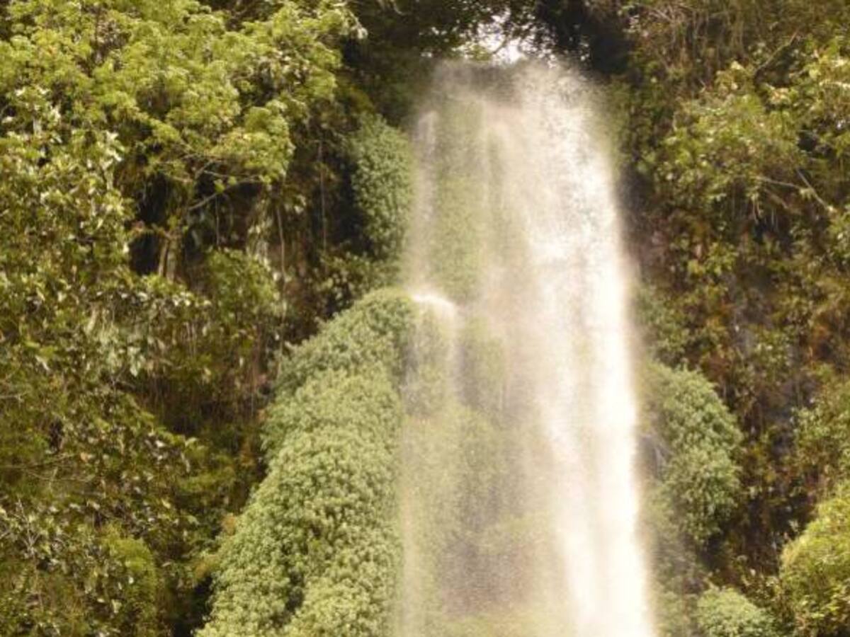 Los planes que usted no sabe que puede hacer para 'turistear' en Risaralda