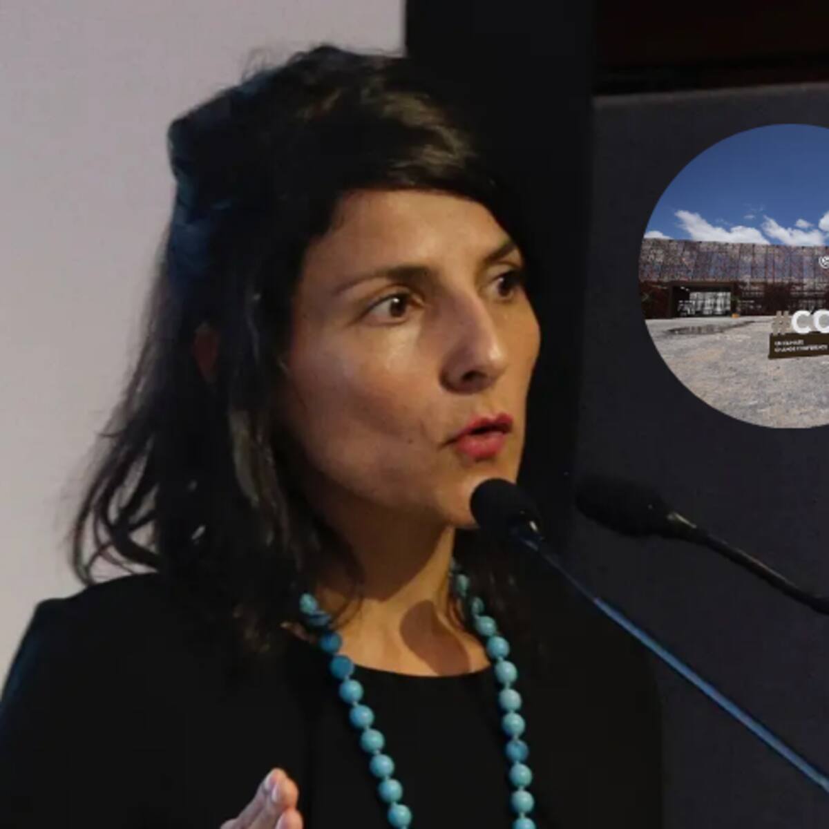 “No habrá veto que nos detenga”: MinAmbiente respalda a Petro sobre declaración de la COP30