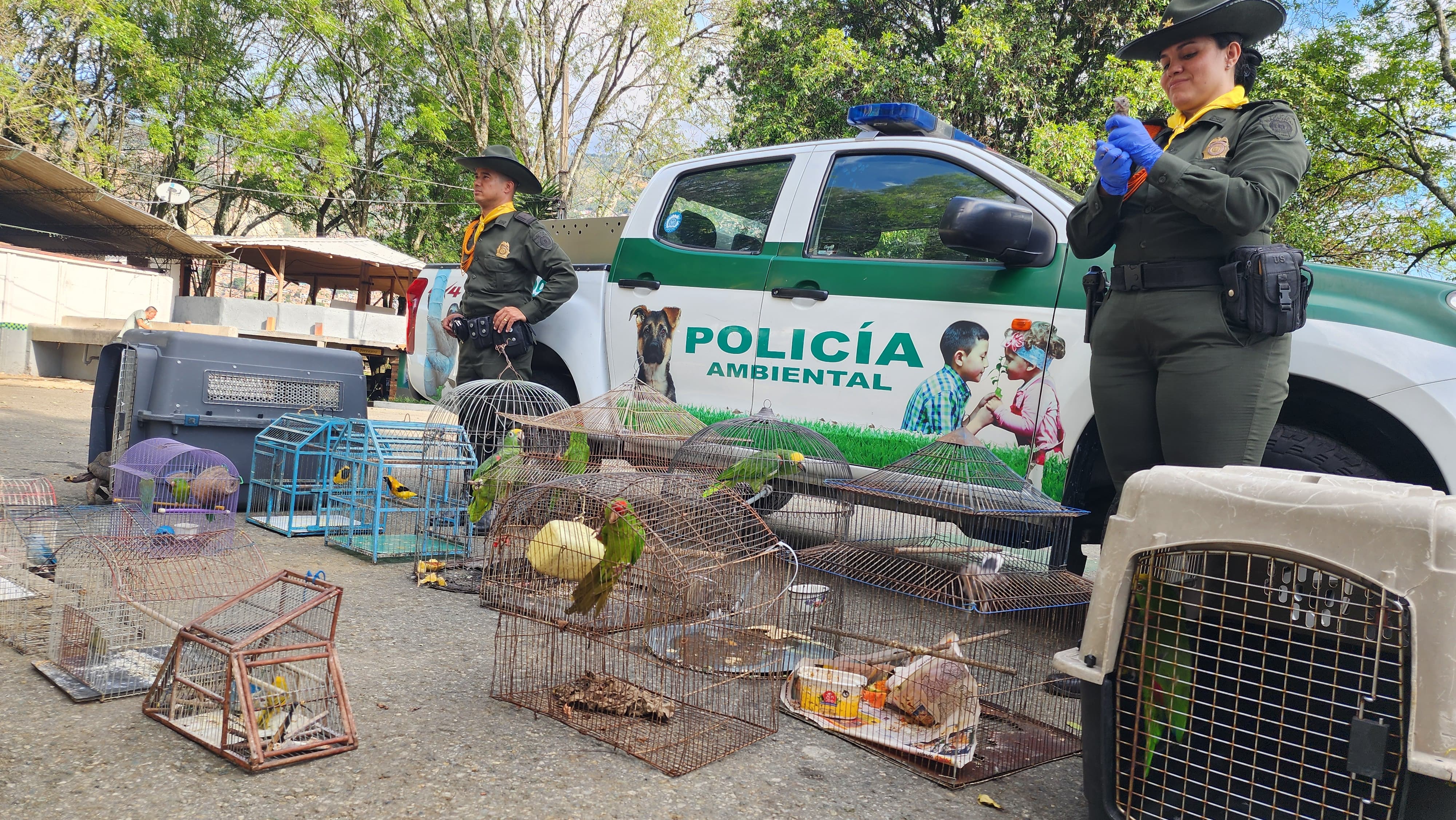 Foto: policía nacional.