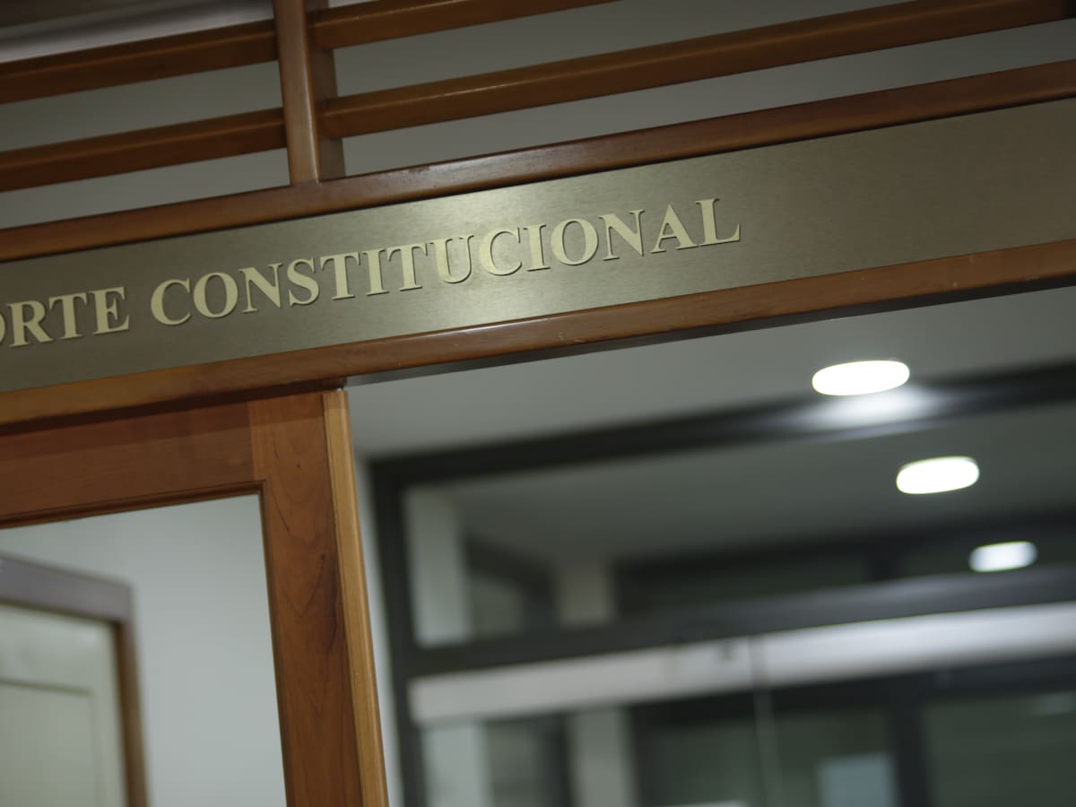 Corte llama al Estado a responder integralmente ante crisis humanitaria en el Catatumbo