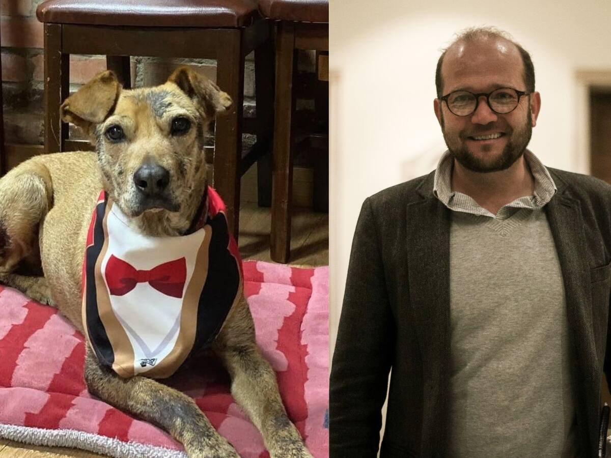 Hay cosas que solo tienen los perros, los humanos jamás llegaremos a su dignidad: Daniel Samper