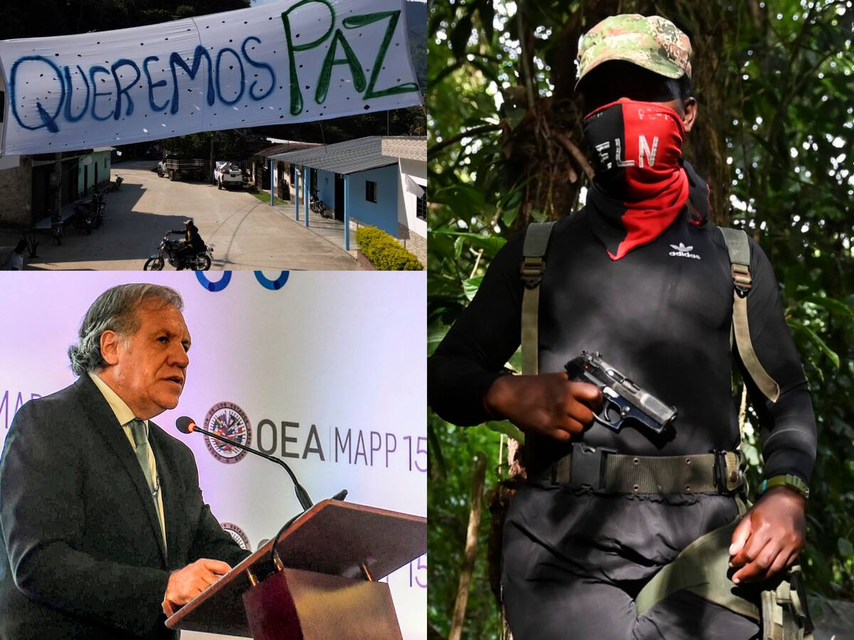 OEA: grupos armados en Colombia deben tienen que demostrar su compromiso con la paz.