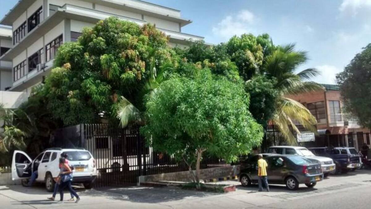 Confirman que cuerpo exhumado pertenece a la enfermera Marilyn Pérez