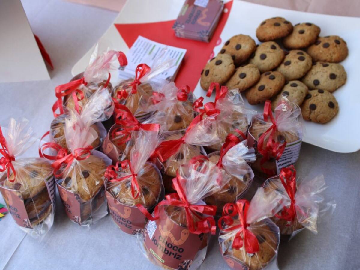 Estudiantes de la Uis emprenden con galletas hechas de harina de lombriz