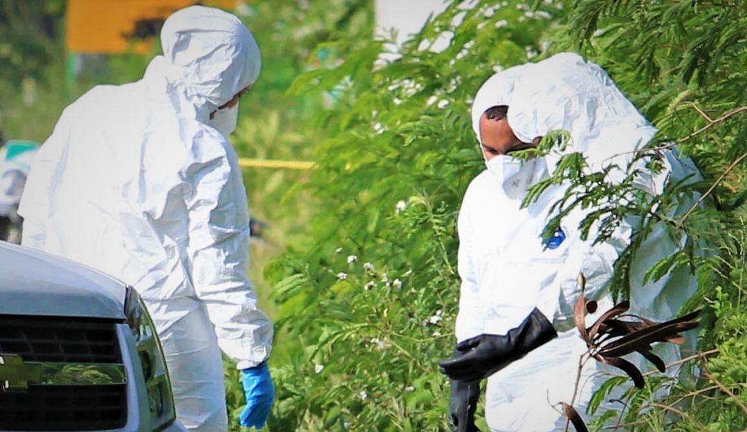 Imagen de referencia