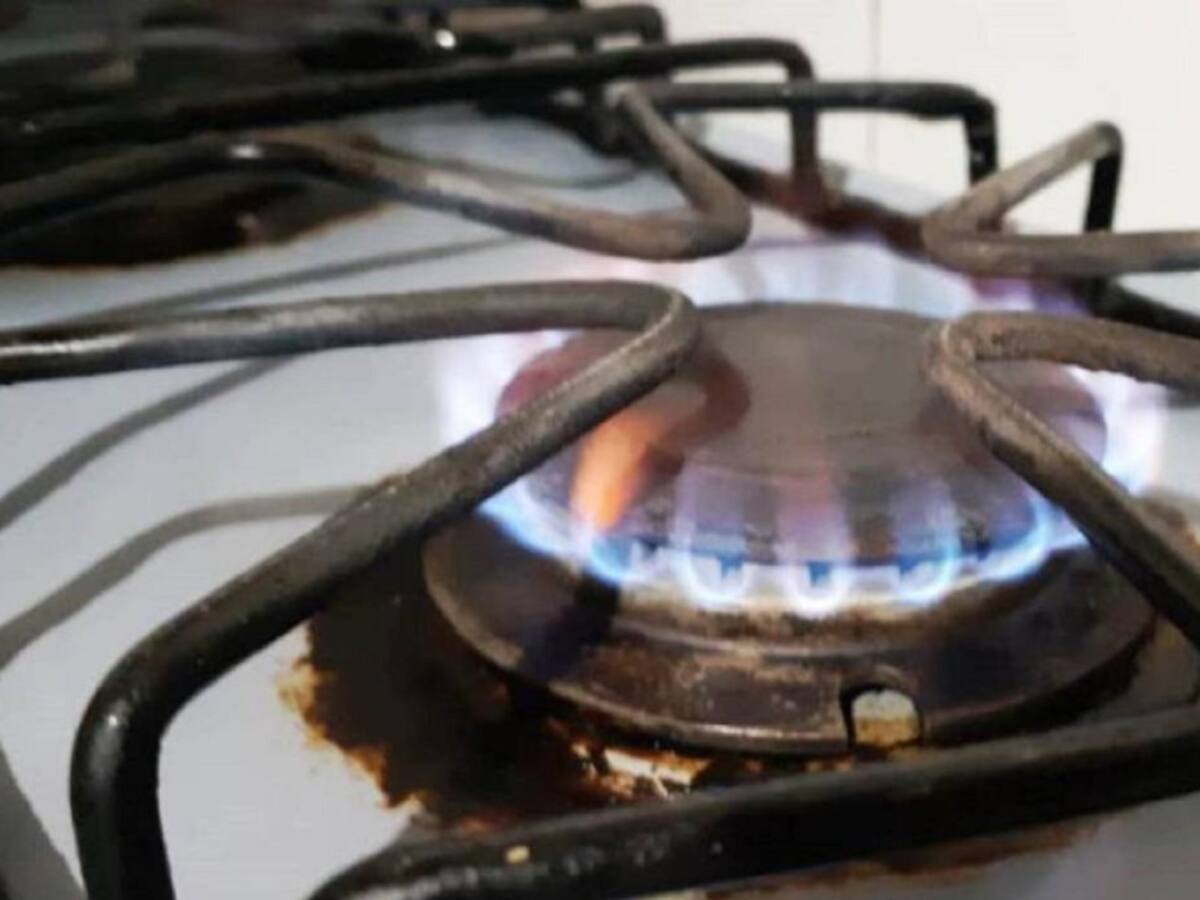 Alivios para el pago de facturas de energía y gas de julio anunció MinMinas