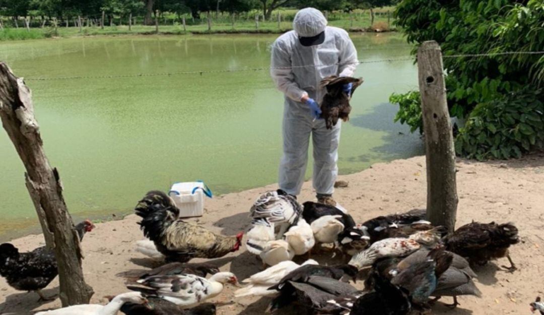 Las actividades de inspección se adelantaron en zona rural de Hatillo de Loba y en la cabecera municipal de Margarita