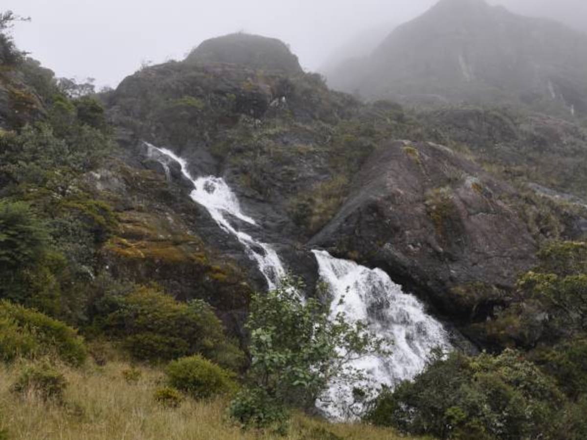 Proyecto de minería en Santurbán no afectará el Páramo: MinMinas