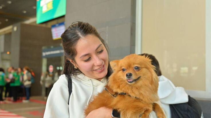 “Ellos quieren quedarse con tierra, no acabar con el grupo Hezbolá”: colombiana repatriada
