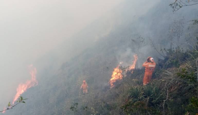 Incendio forestal