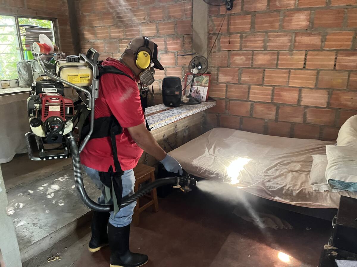 Autoridades sanitarias alertan por brote tipo 1 de dengue en Cúcuta
