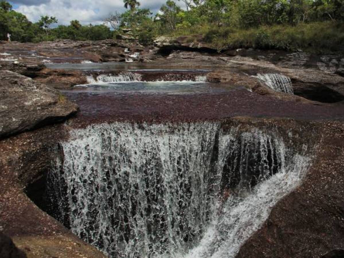 Científicos están preocupados por Caño Cristales: The New York Times