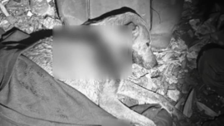 Carlos Arturo Ramírez, secretario gobierno de Armenia