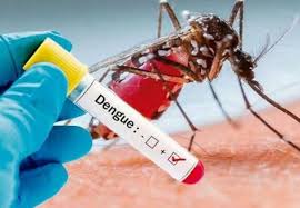 Dengue. Foto: Cortesía Gettyimages.