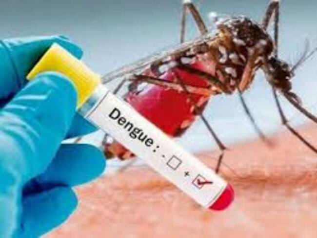 Dengue. Foto: Cortesía Gettyimages.